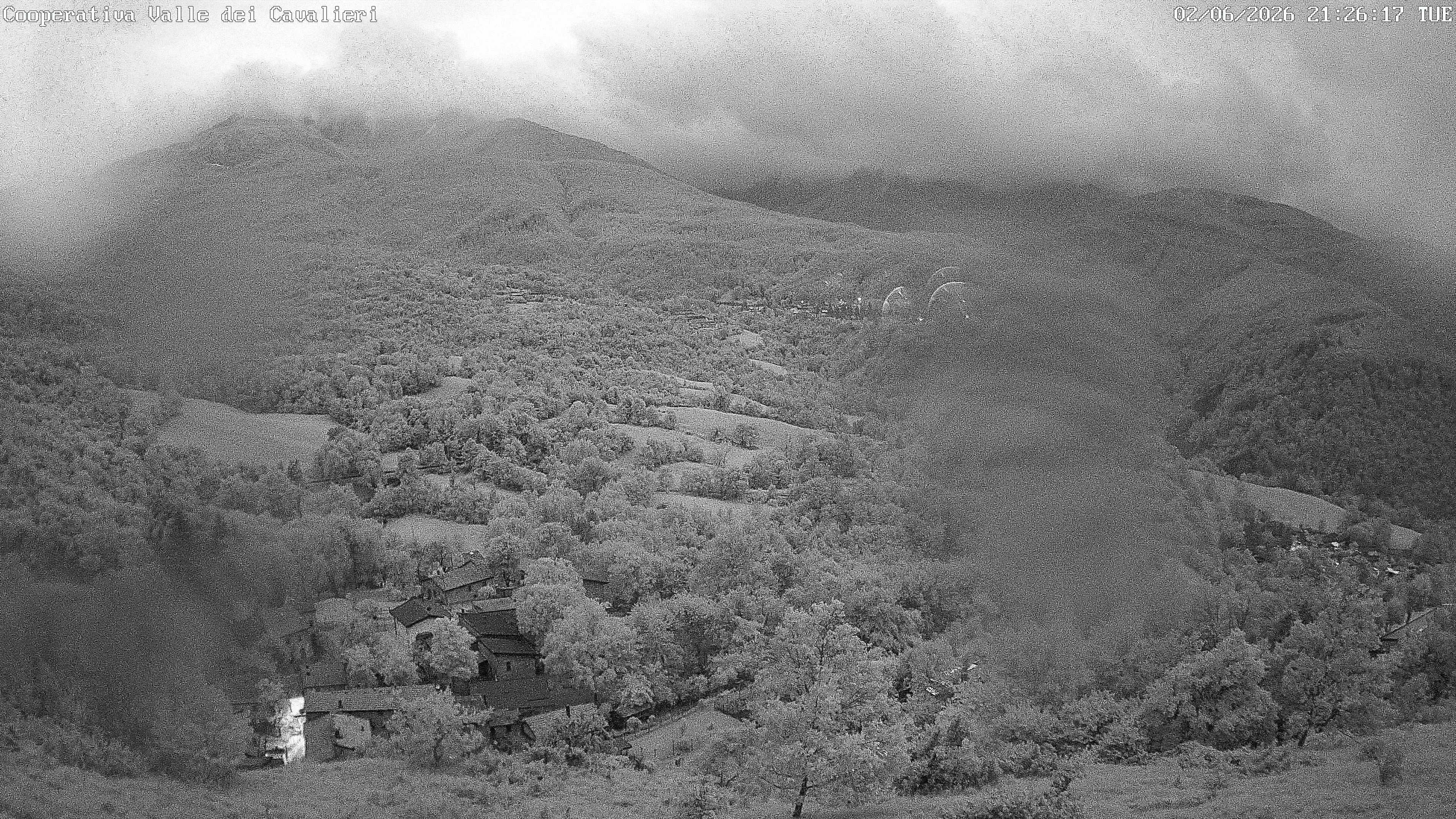 Webcam Succiso